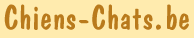 Index du Forum